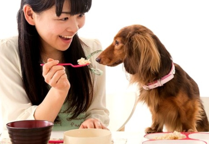 Pet Food Trends, Chinese Style