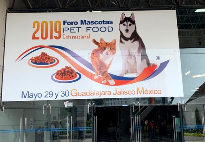 Four Trends in the Mexican Pet Food Market