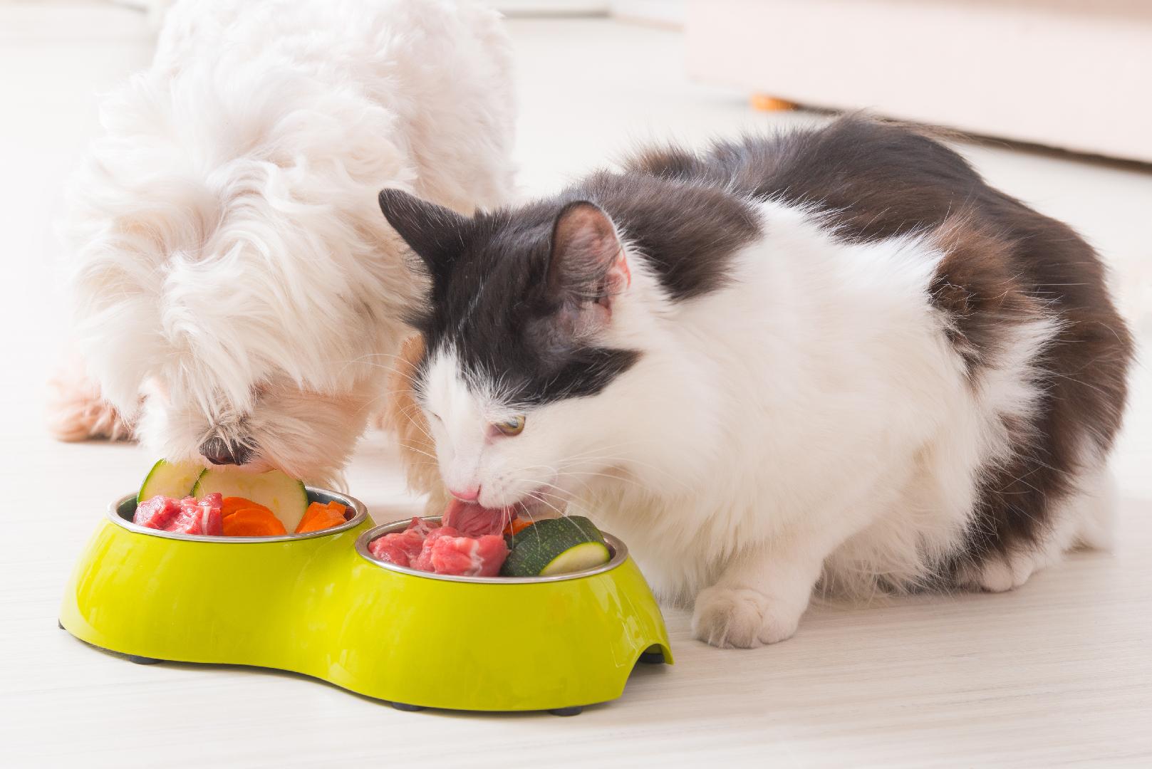What are nutraceuticals, and what is their use in pet food?