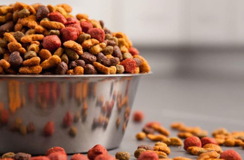 2020 trends for the Pet Food industry