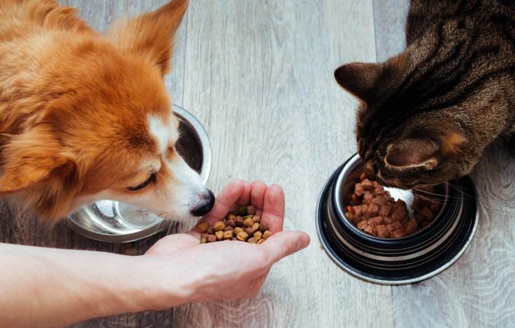 Protect your pet food from oxidation, naturally
