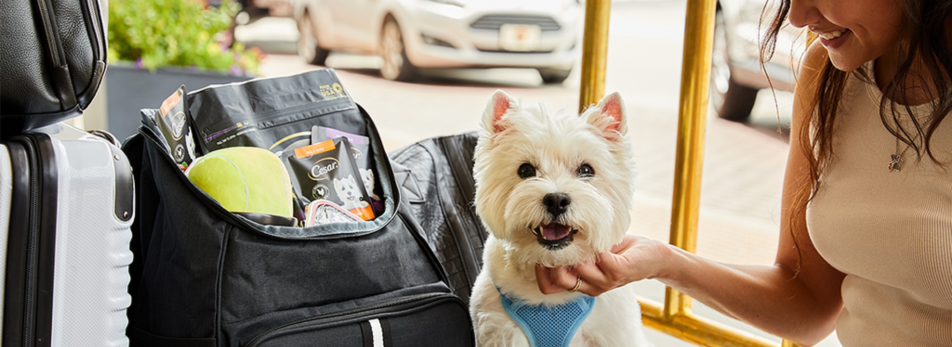 Mars announces partnership with Tripadvisor, connecting today's pet parents with better travel experiences