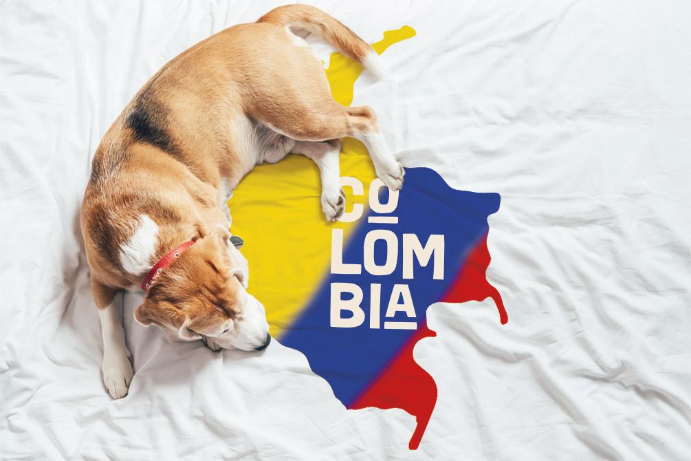 The Pet Food market in Colombia