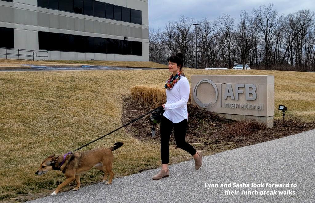 Our Coworkers have Fur and Tails !! Welcome to AFB's Dog- Fiendly Worplace 