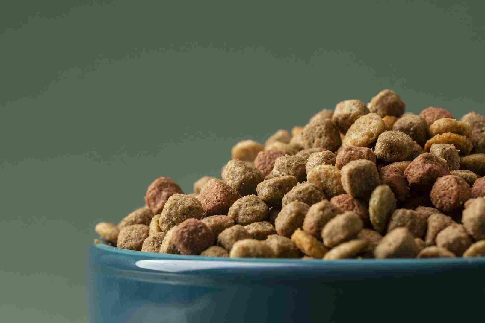 Packaging and Palletizing of Animal Feed and Pet Food: Achieve Efficiency and High Productivity with Statec Binder