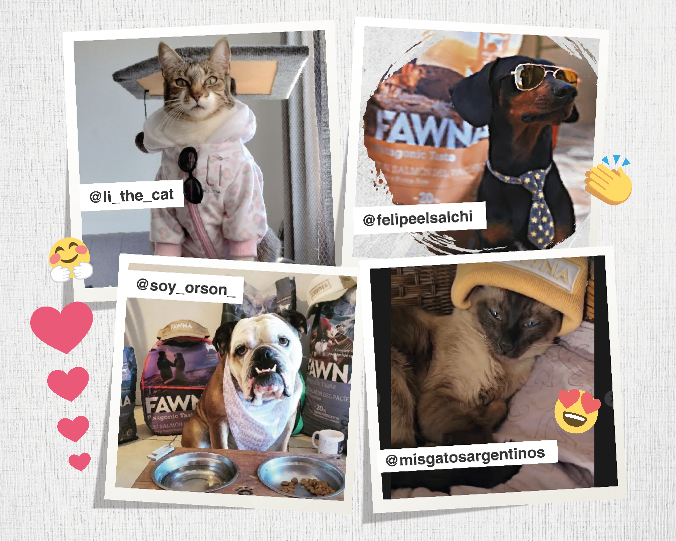 Find out how Fawna and hers InfluFawna promote excellent nutrition for our loyal friends