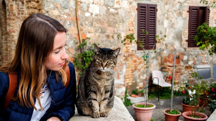 Italy, a pet lovers’ country