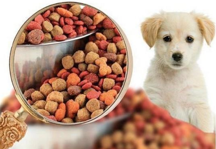 Performance Measurement in Pet Food