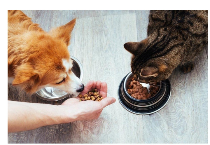 Packaged Facts predicts top 5 trends for Pet Food