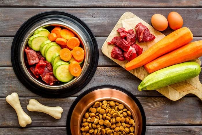 Alternative Proteins, Functional Foods Driving Pet Food Ingredient Trends