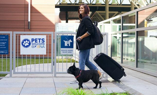 Mars Petcare launches Airport certification