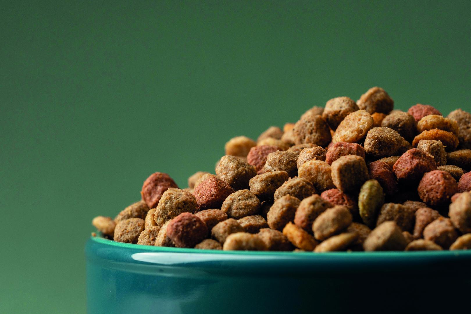 Technological challenges in pet food manufacturing 