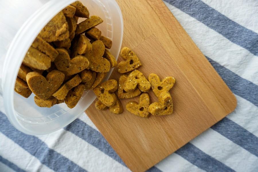 How to Choose the Right Treats for Your Dog