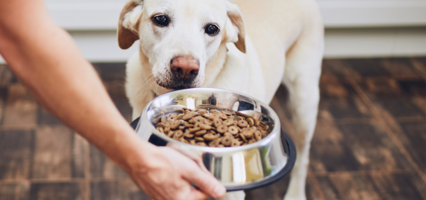 What is the difference between Pet Food?