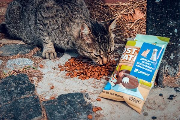 Yemtar Provides Feed for Cats and Dogs